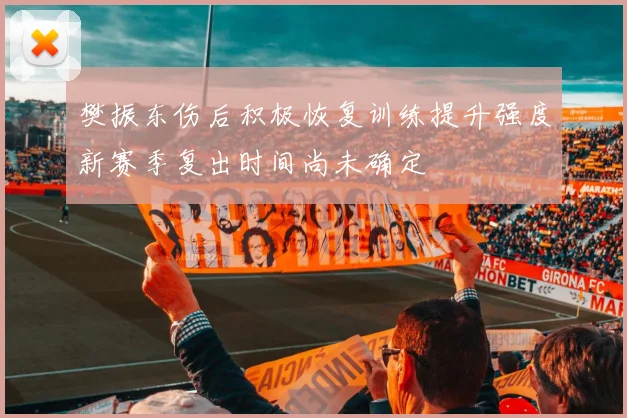 樊振东伤后积极恢复训练提升强度新赛季复出时间尚未确定