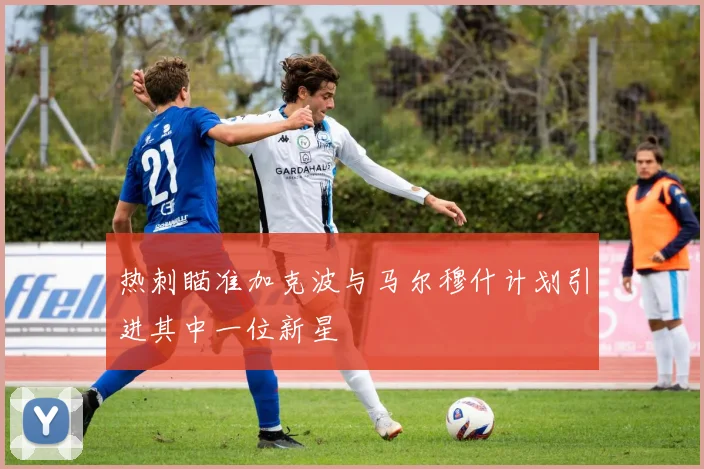 热刺瞄准加克波与马尔穆什计划引进其中一位新星